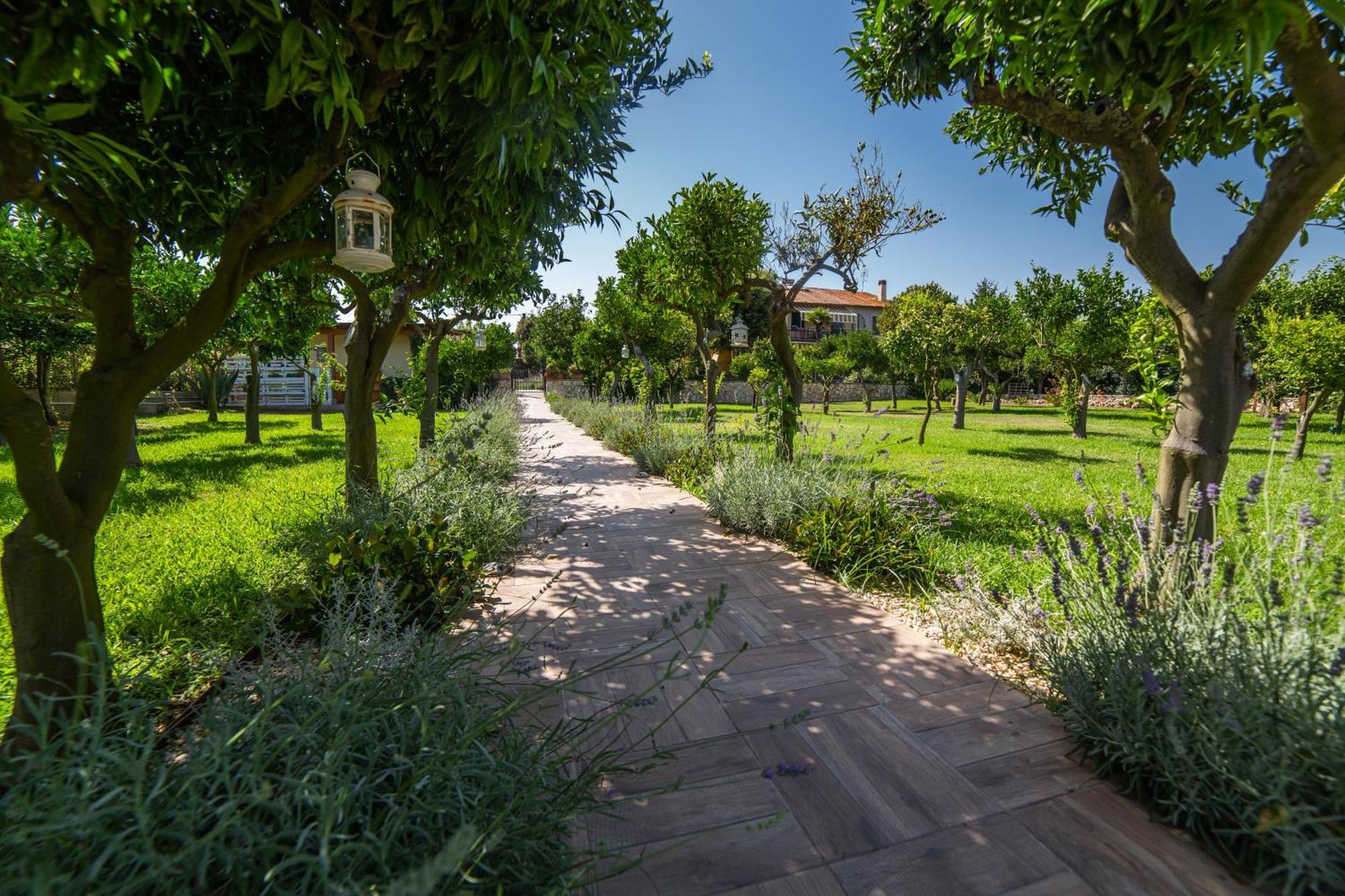 I Lecci Guesthouse San Felice Circeo Extérieur photo