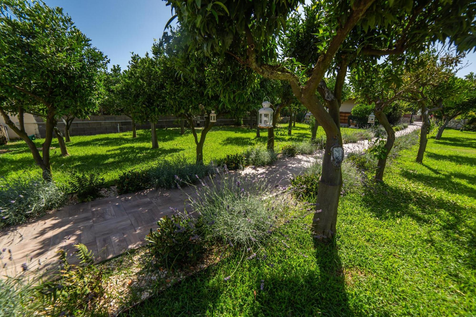I Lecci Guesthouse San Felice Circeo Extérieur photo